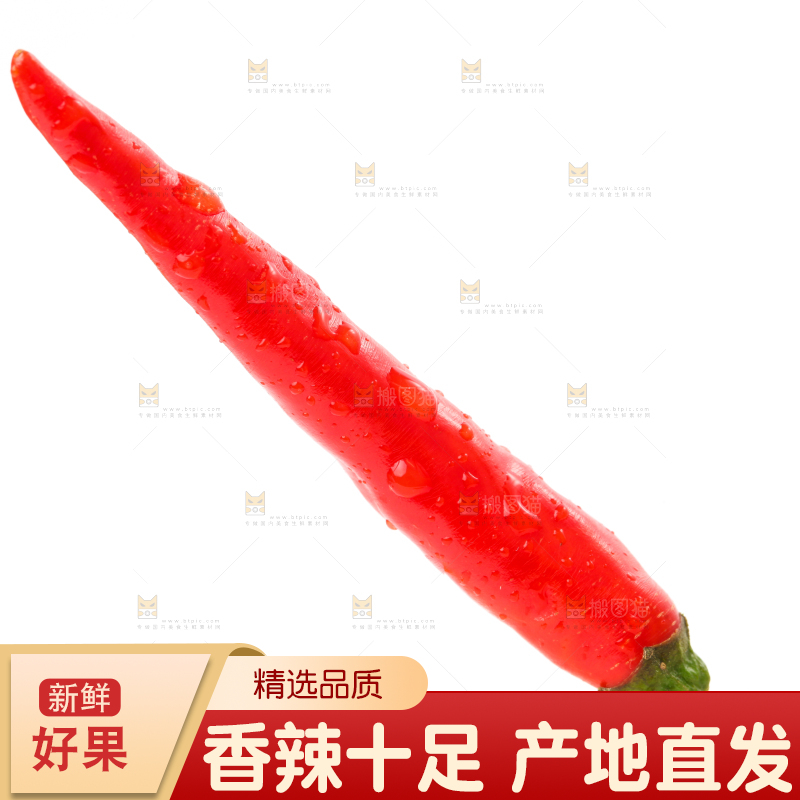 白底上摆放着小米椒