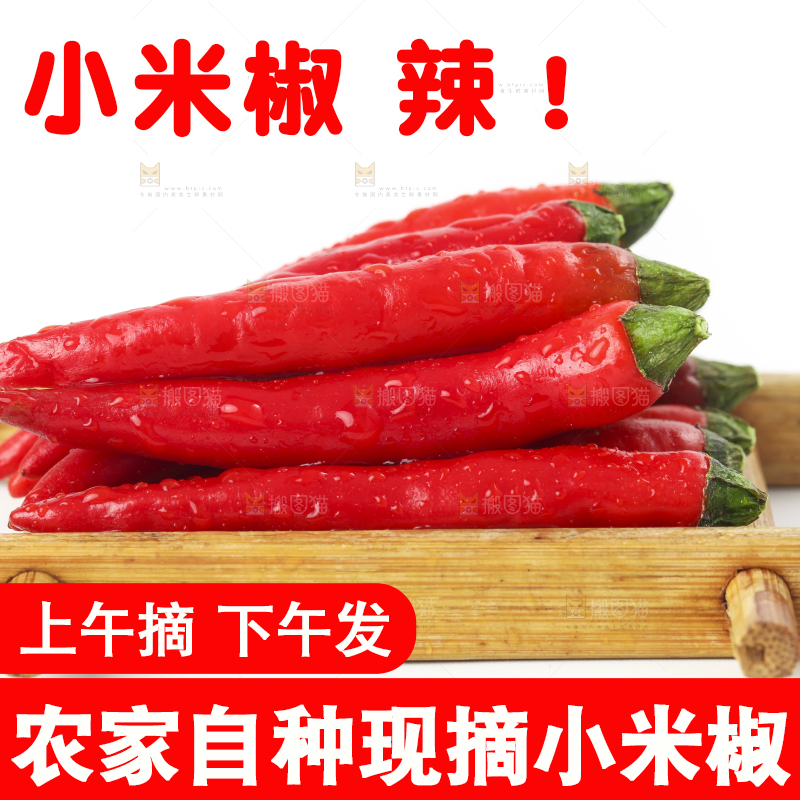 木盒里装着指天椒