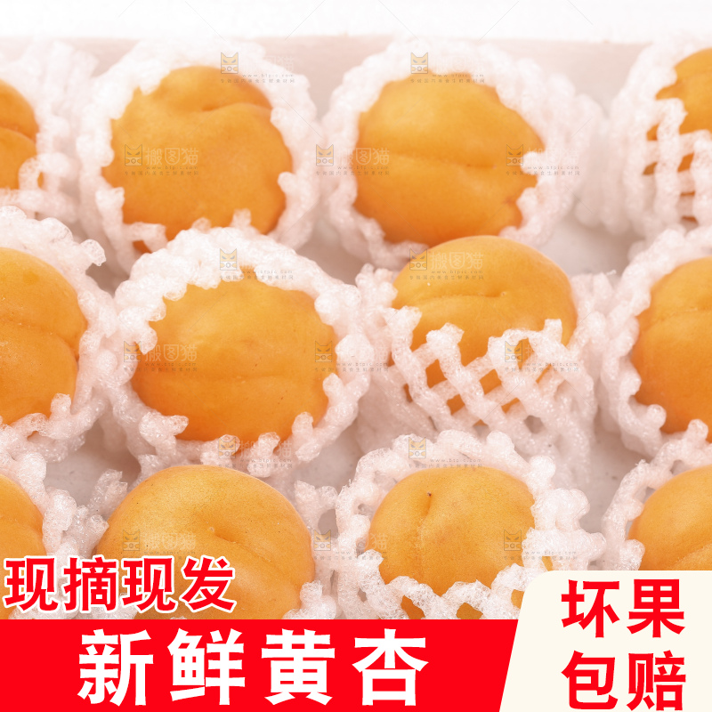 整齐摆放着的大黄杏