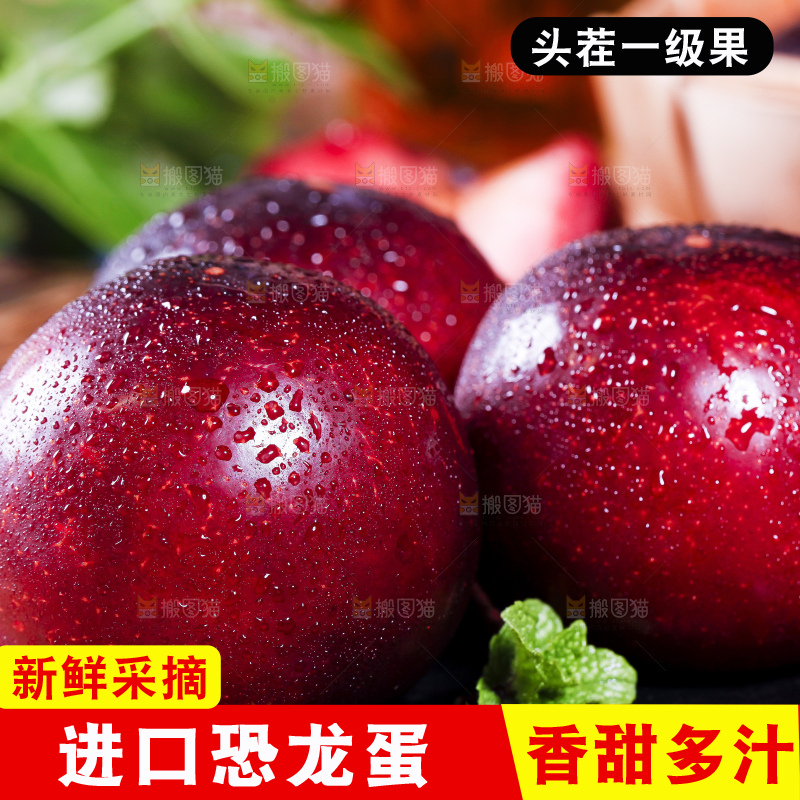 黑底上摆放着恐龙蛋李