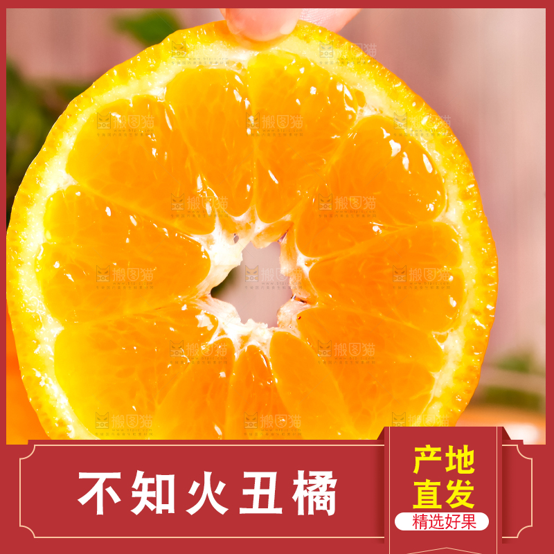 手里拿着不知火丑橘