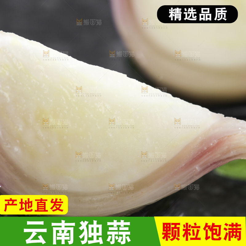 深底上摆放着紫皮独蒜
