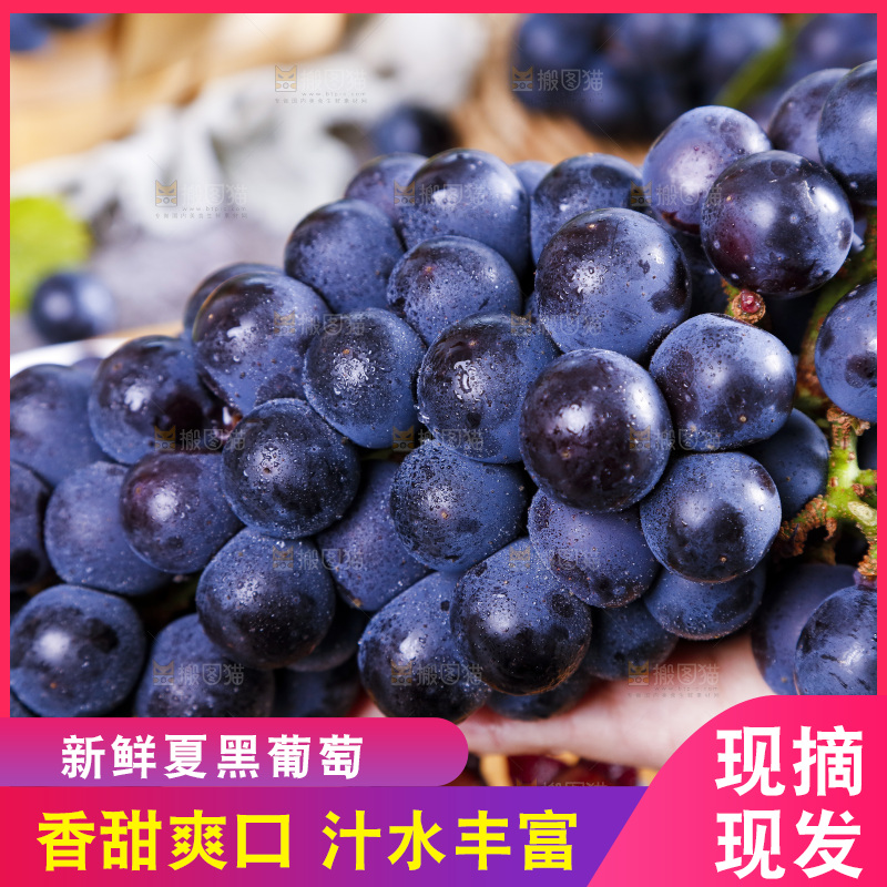手里拿着云南夏黑葡萄
