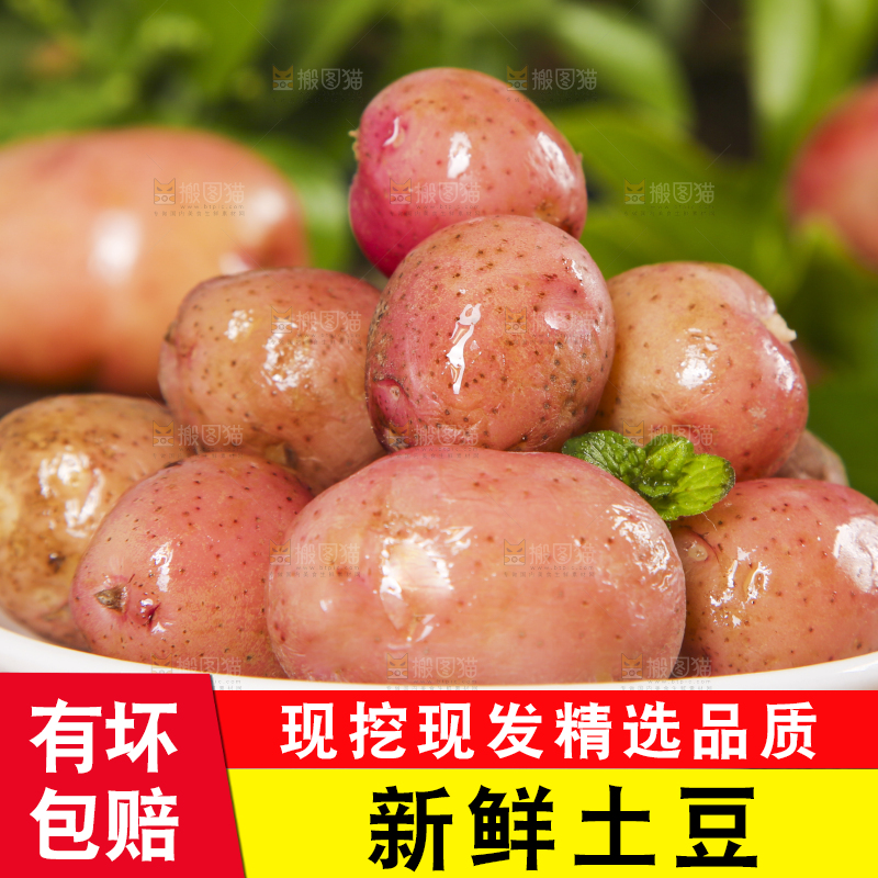 盘子里装着红土豆