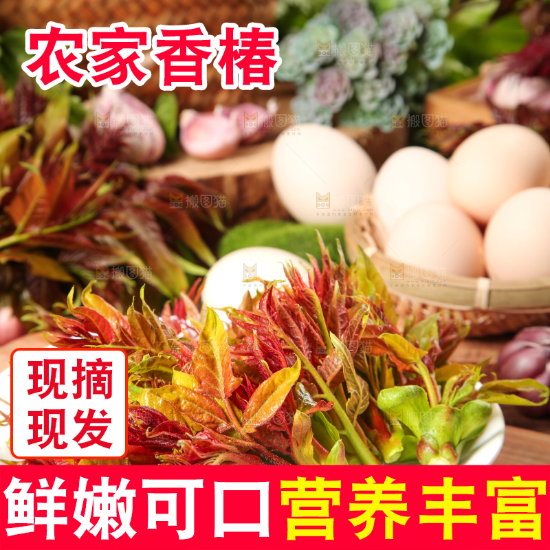 盘子里装着新鲜香椿苗