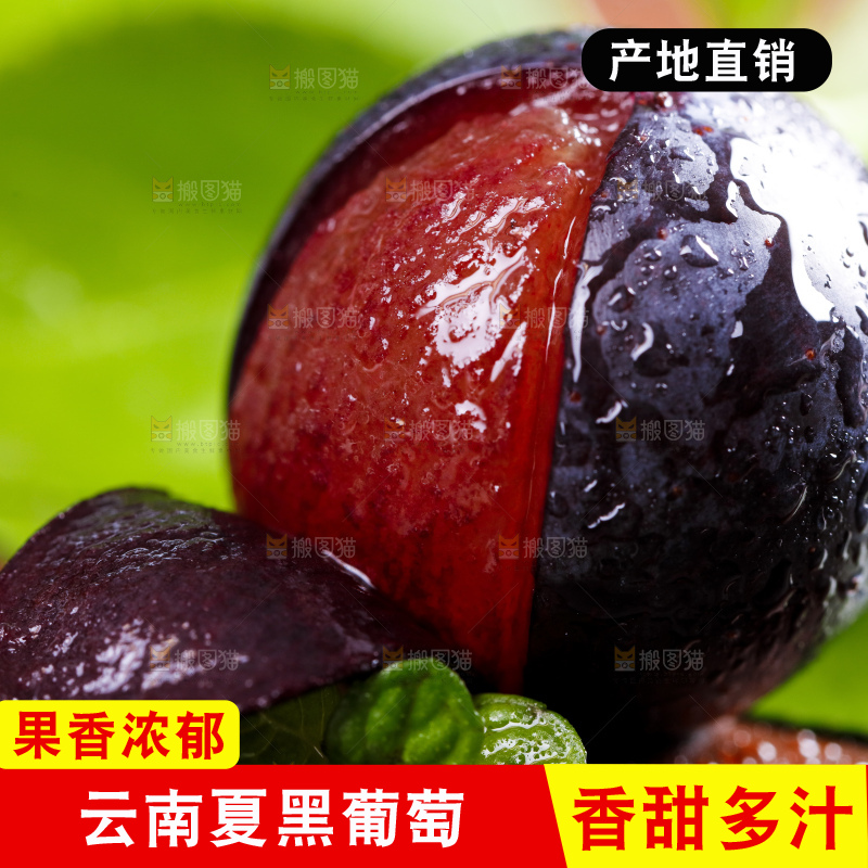 木底上摆放着夏黑葡萄