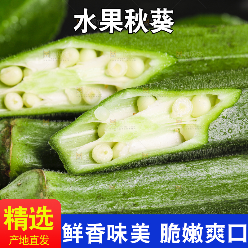 黑底上摆放着嫩秋葵