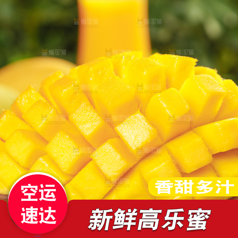 手里拿着水仙芒