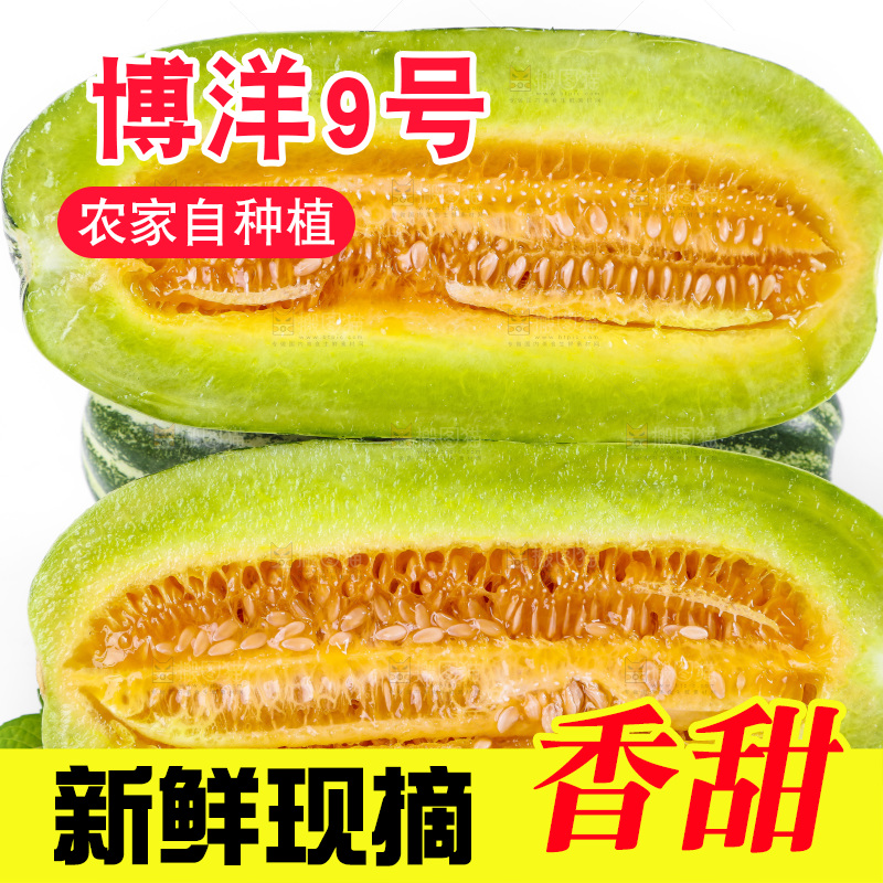 白底上放着博洋蜜脆甜瓜