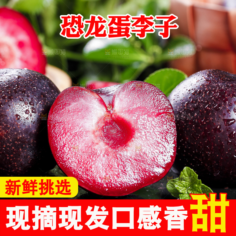 黑底上摆放着智利进口恐龙蛋