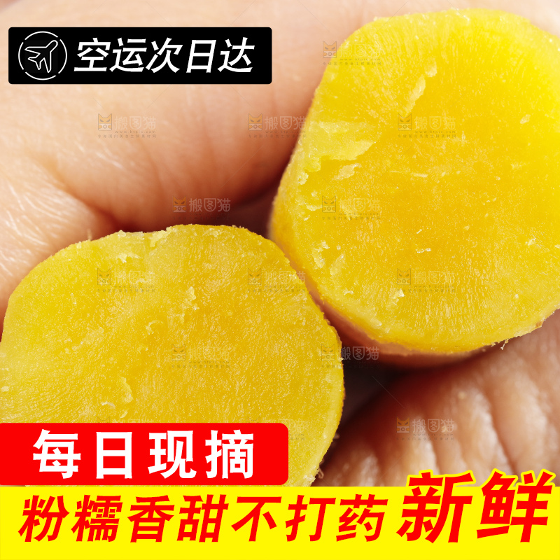 手里拿着小红薯