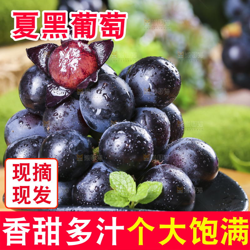 碟子里装着黑加仑