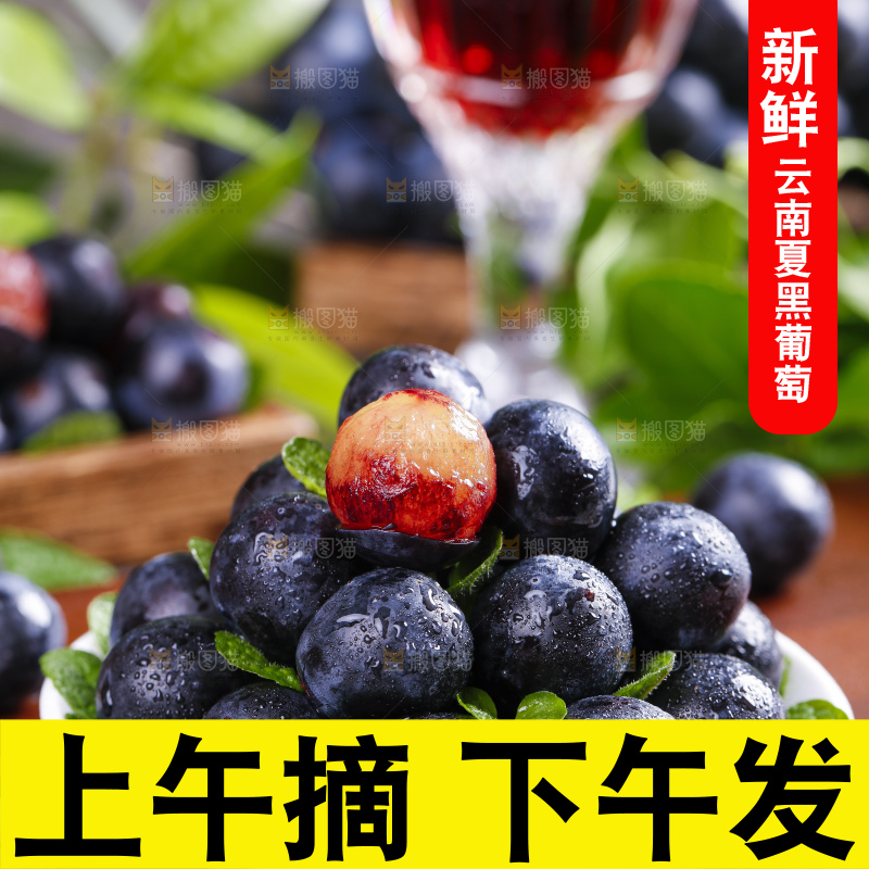 盘子里装着黑葡萄
