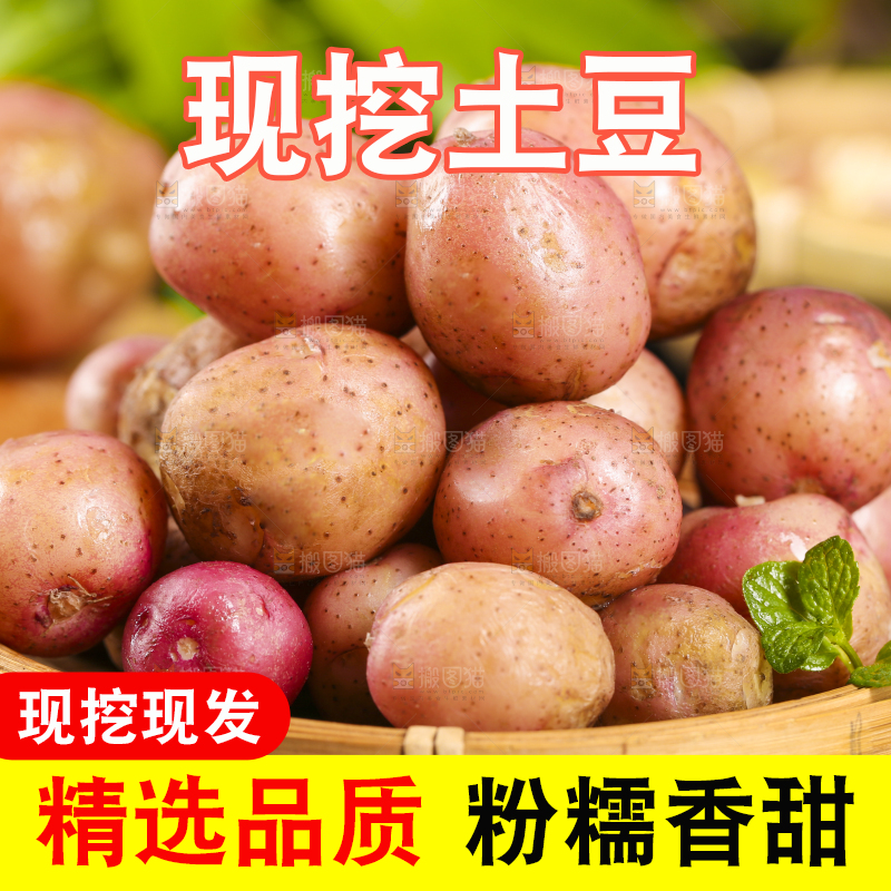 篮子里装着红土豆
