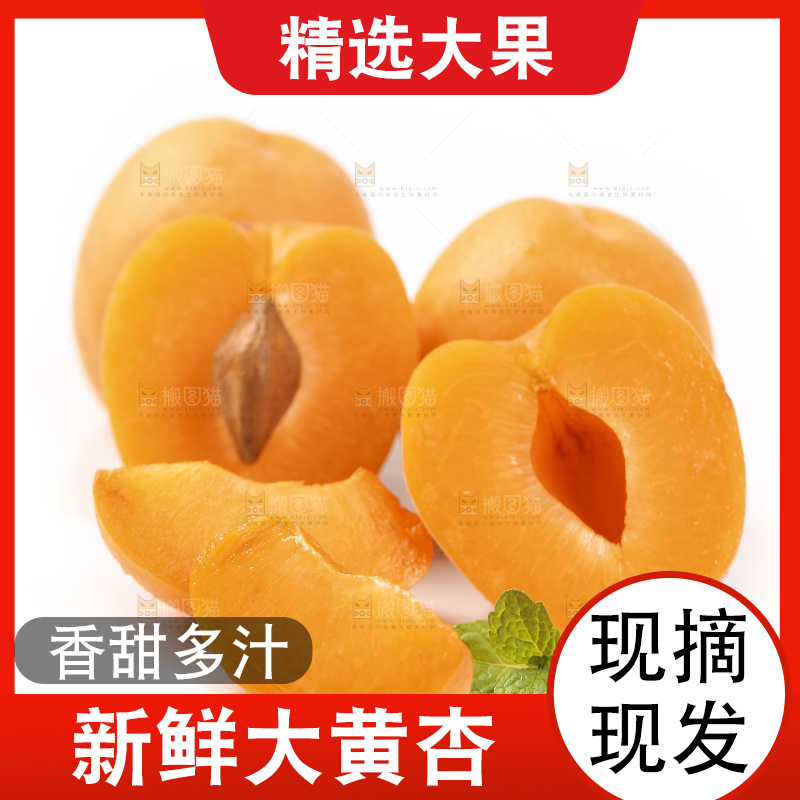 白底上放着山东大黄杏