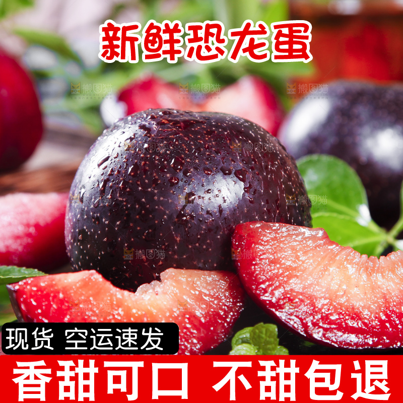 黑底上摆放着智利进口恐龙蛋