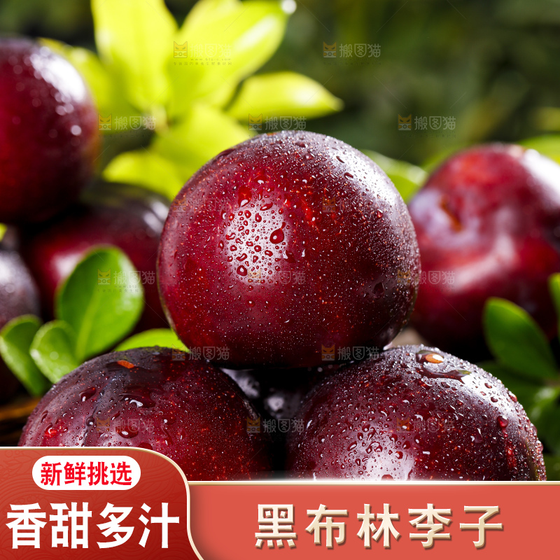 黑底上摆放着黑布李