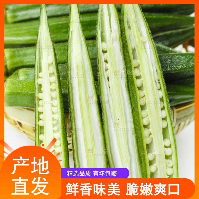 篮子里装着山东新鲜秋葵