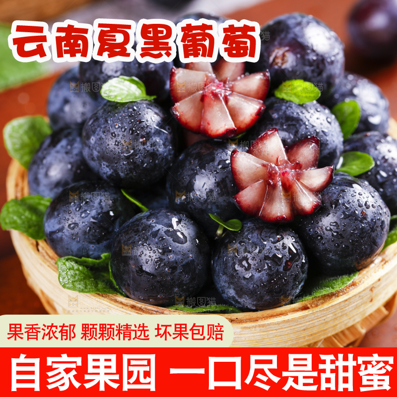 篮子里装着夏黑葡萄