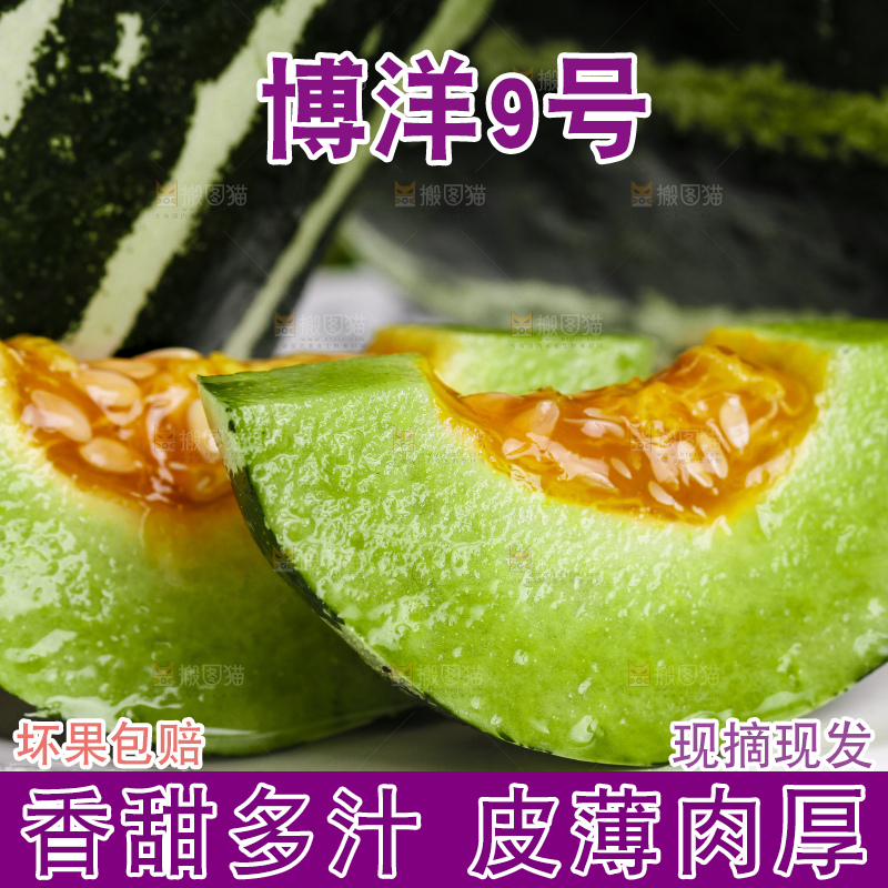 盘子里装着博洋香瓜