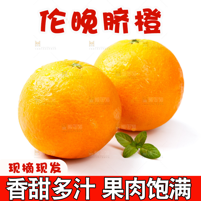 白底上放着赣南伦晚脐橙