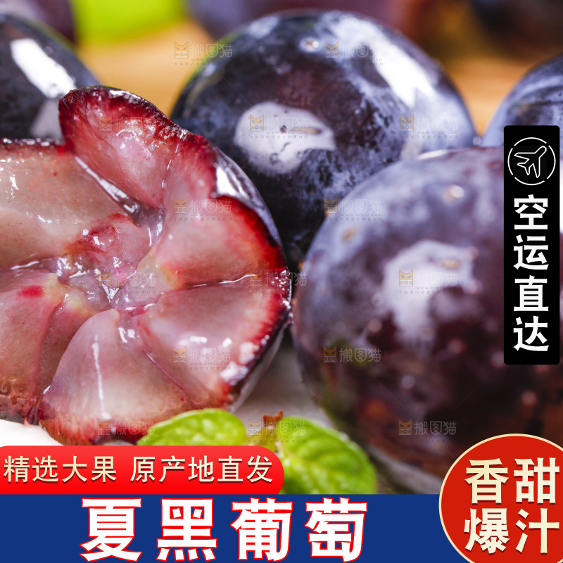 白底上放着云南夏黑葡萄