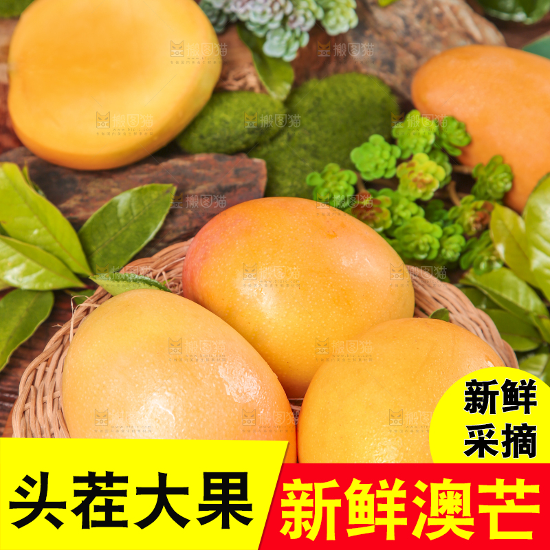 篮子里放着越南澳芒