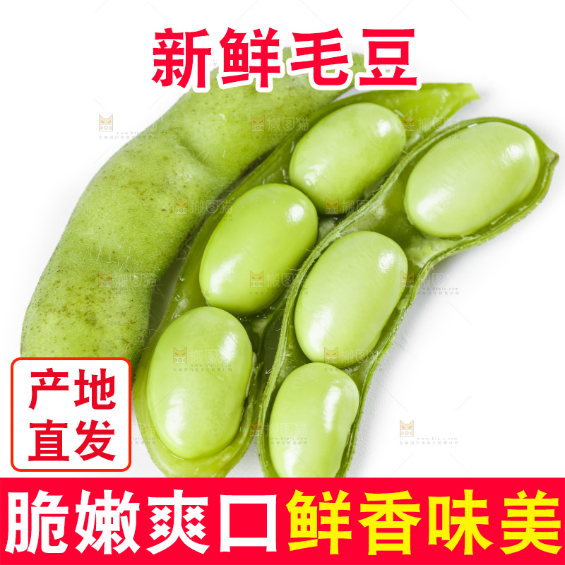 白底上摆放着毛豆角