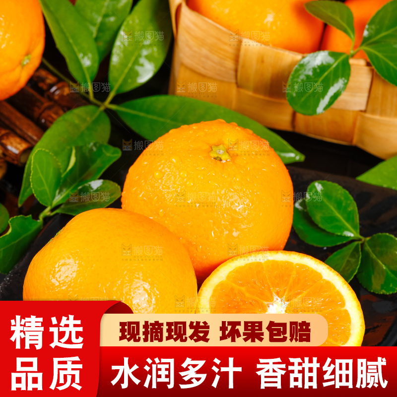 黑底上放着伦晚甜橙
