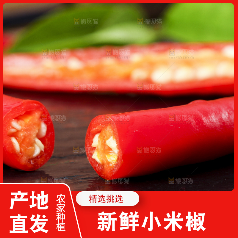 黑底上放着指天椒