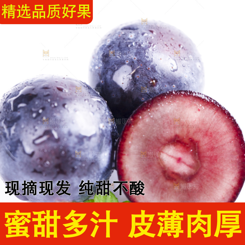 白底上放着夏黑加仑葡萄
