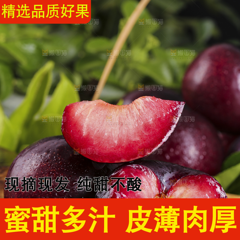 深底上放着新鲜恐龙蛋李