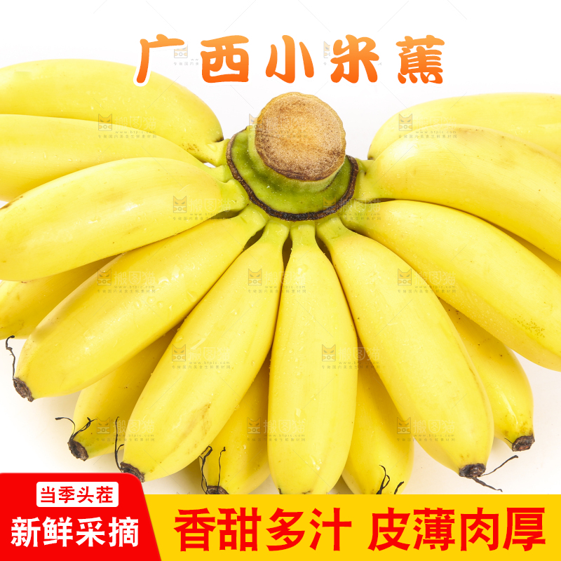 白底上摆放着小米蕉