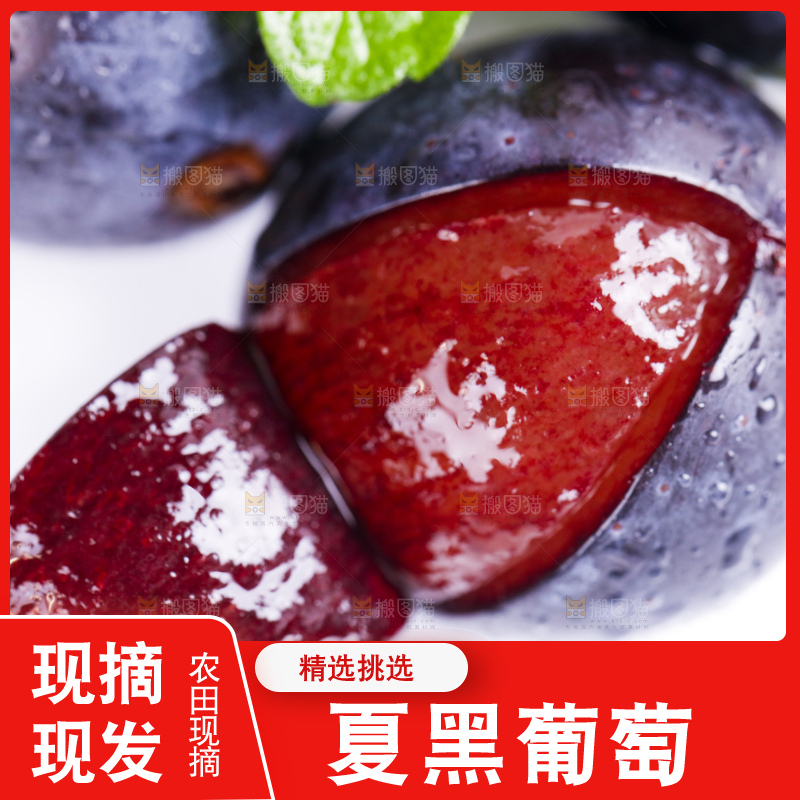 白底上放着夏黑葡萄