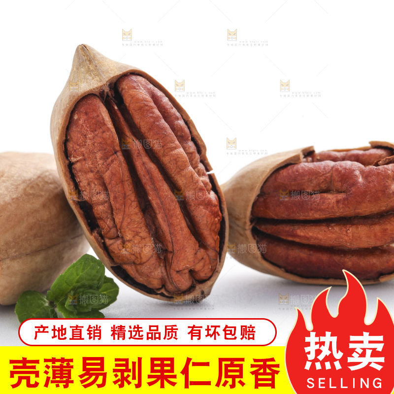 白底上的山核桃