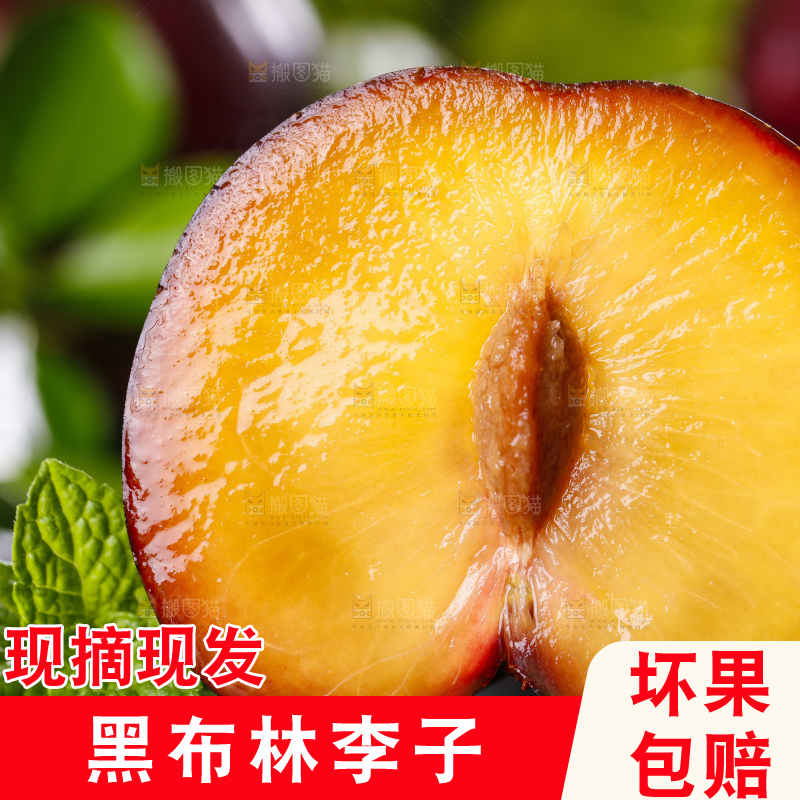 黑底上摆放着黑布李