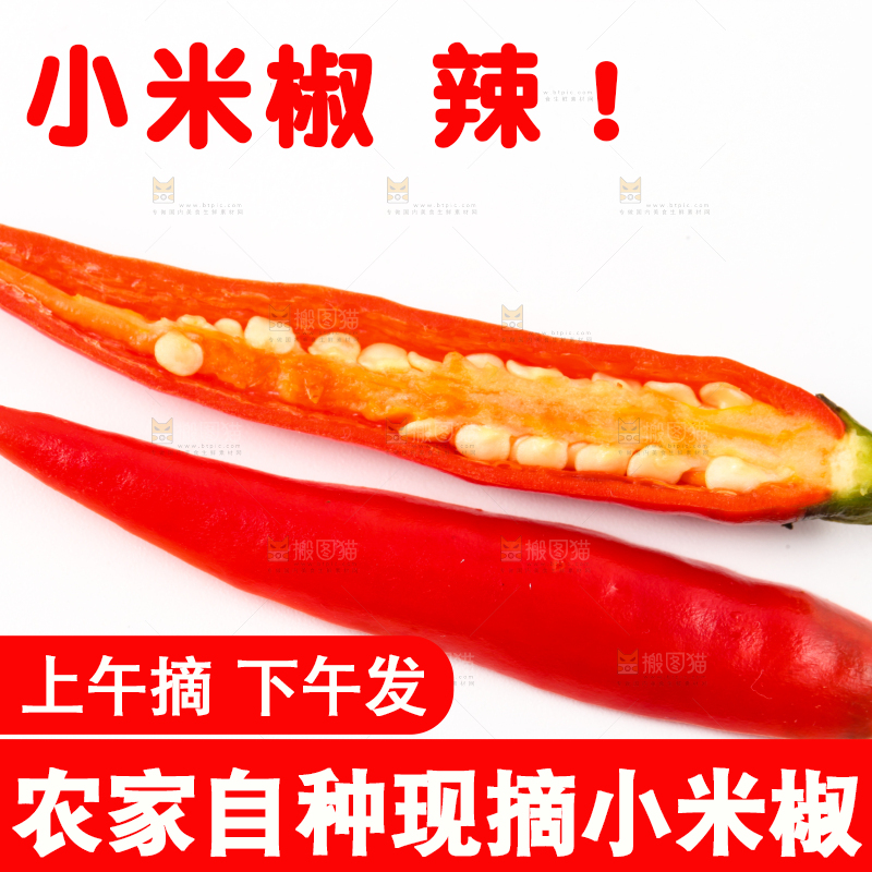 白底上摆放着小米椒