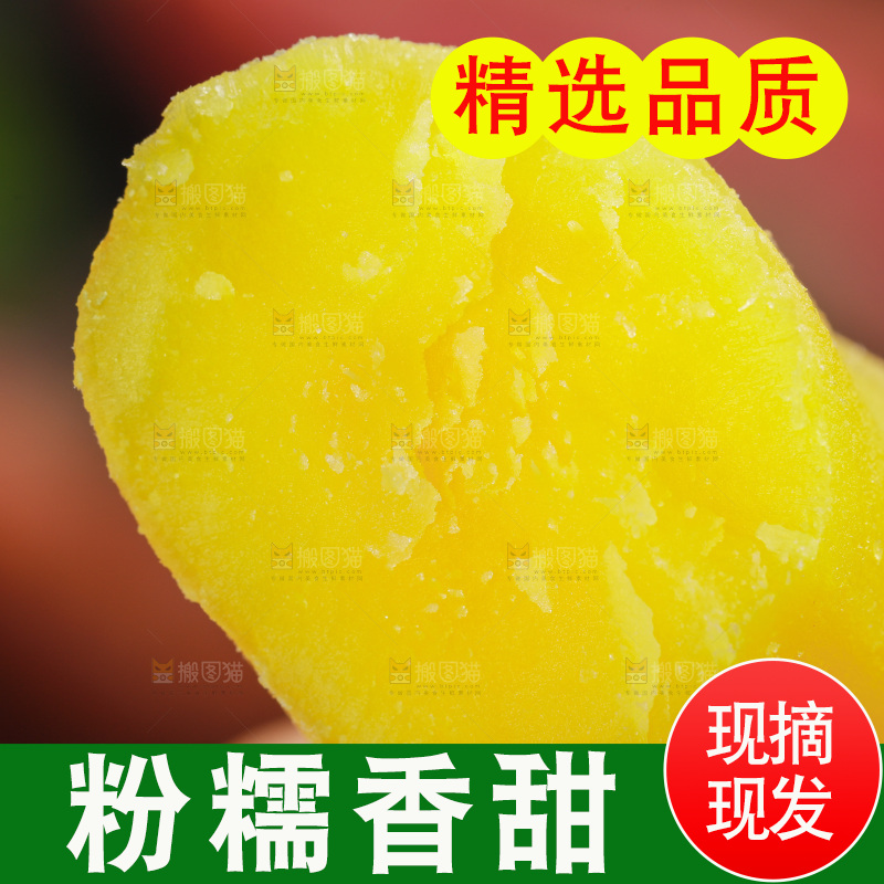 手里拿着小红薯