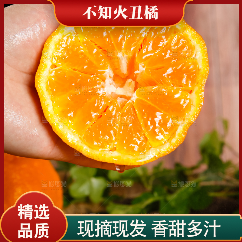 手里拿着不知火丑橘