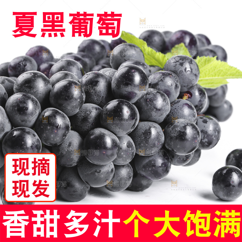 白底上放着夏黑葡萄