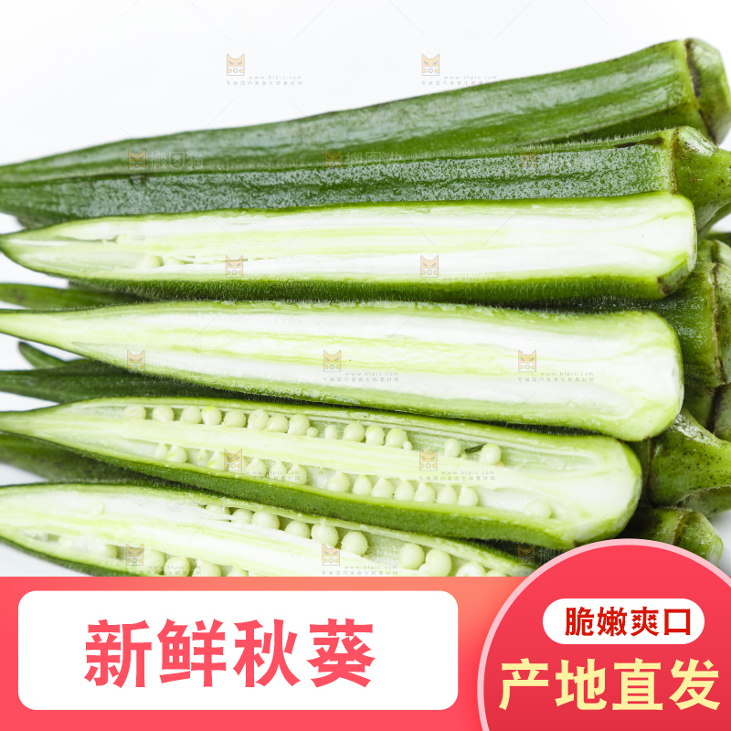 白底上摆放着秋葵