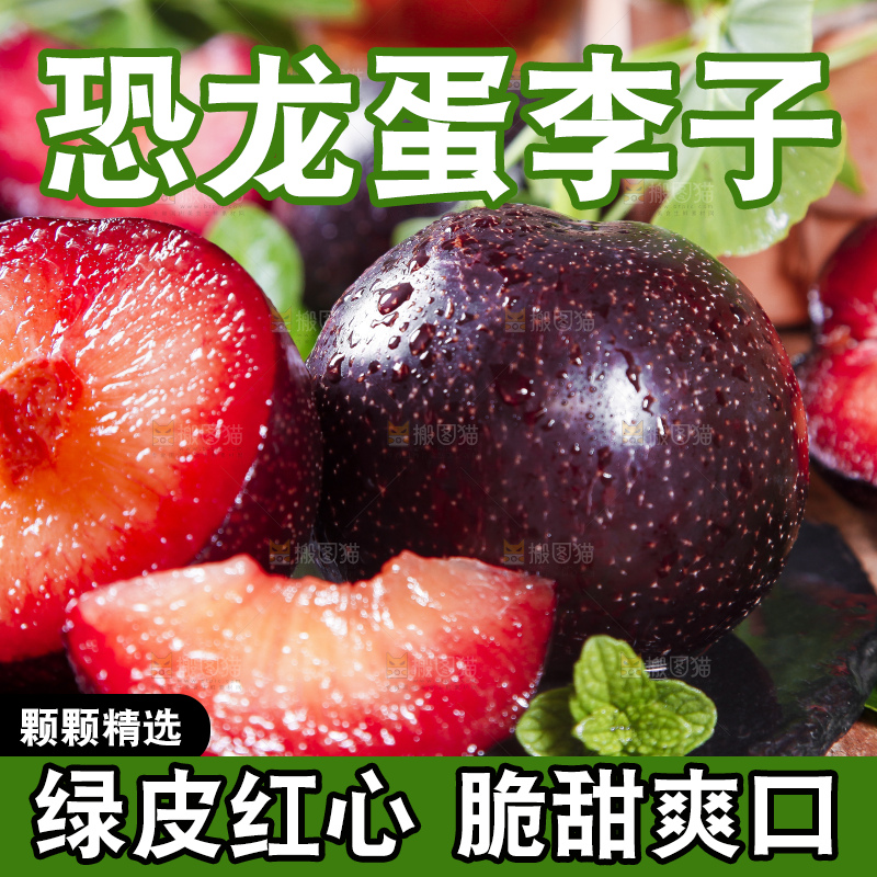 深底上摆放着恐龙蛋李