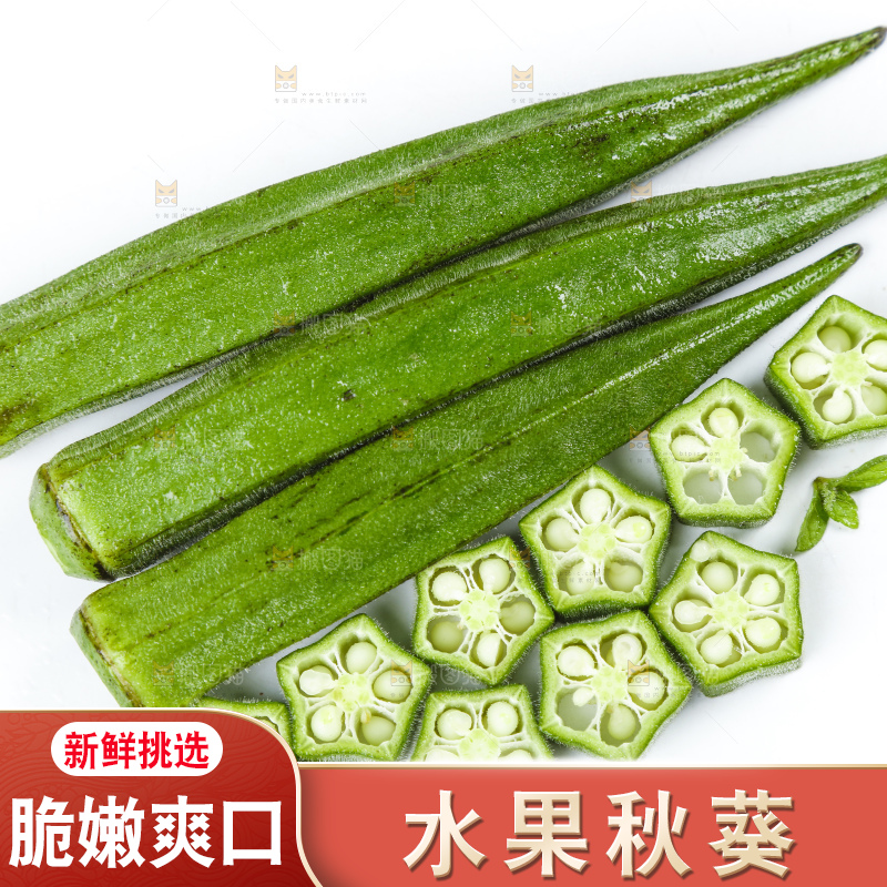 白底上摆放着秋葵