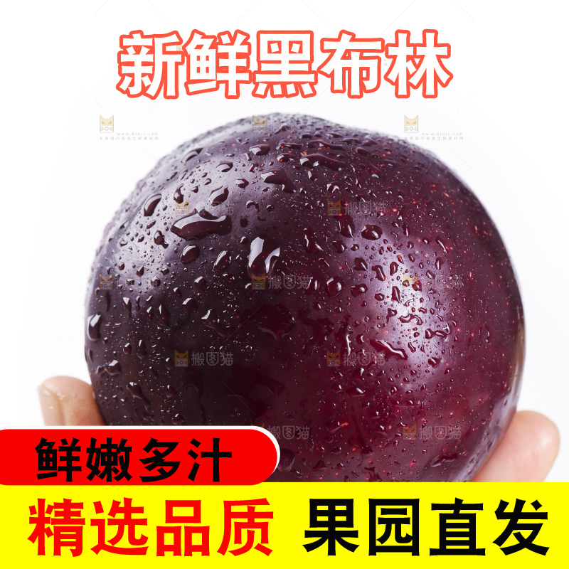 手里拿着黑布林