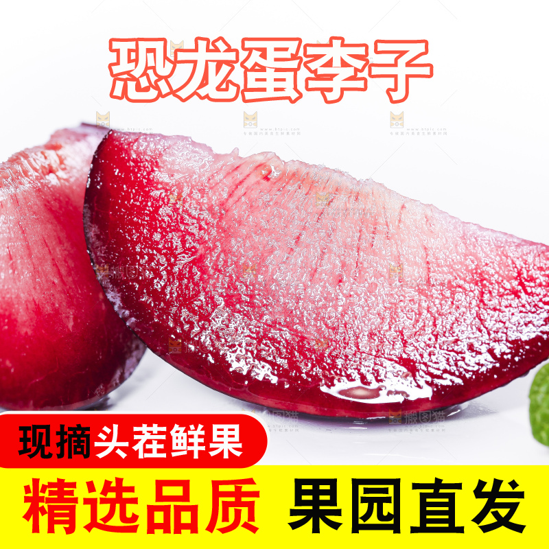 白底上摆放着恐龙蛋李