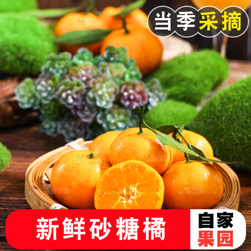 篮子里装着砂糖橘