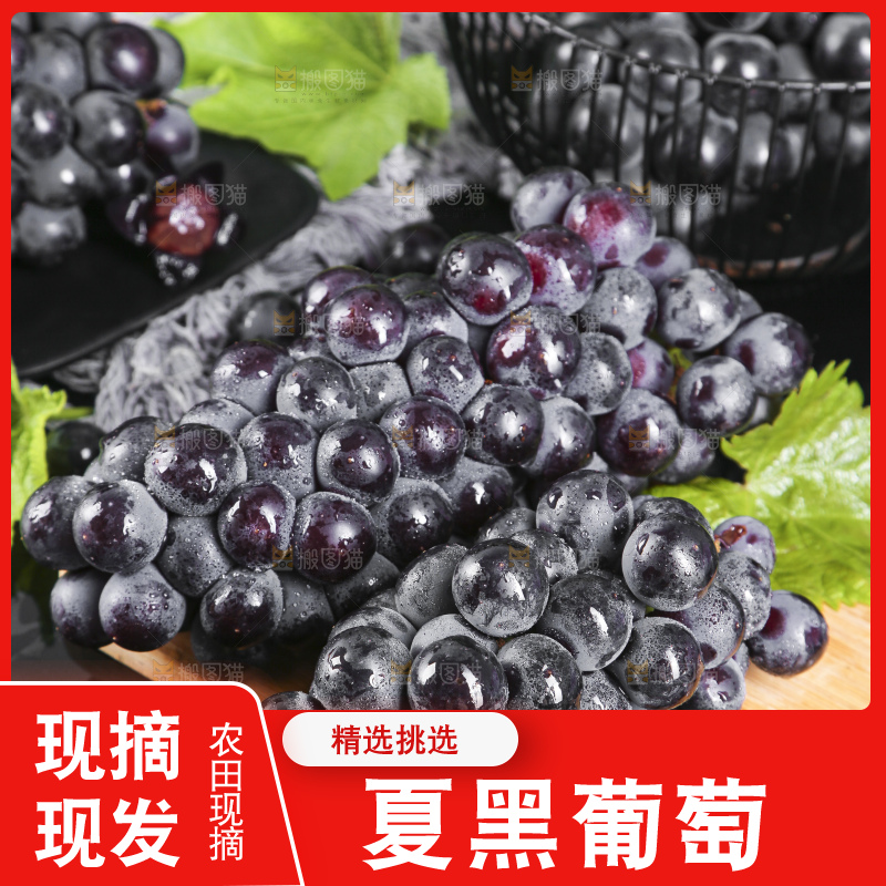 木底上摆放着云南夏黑葡萄