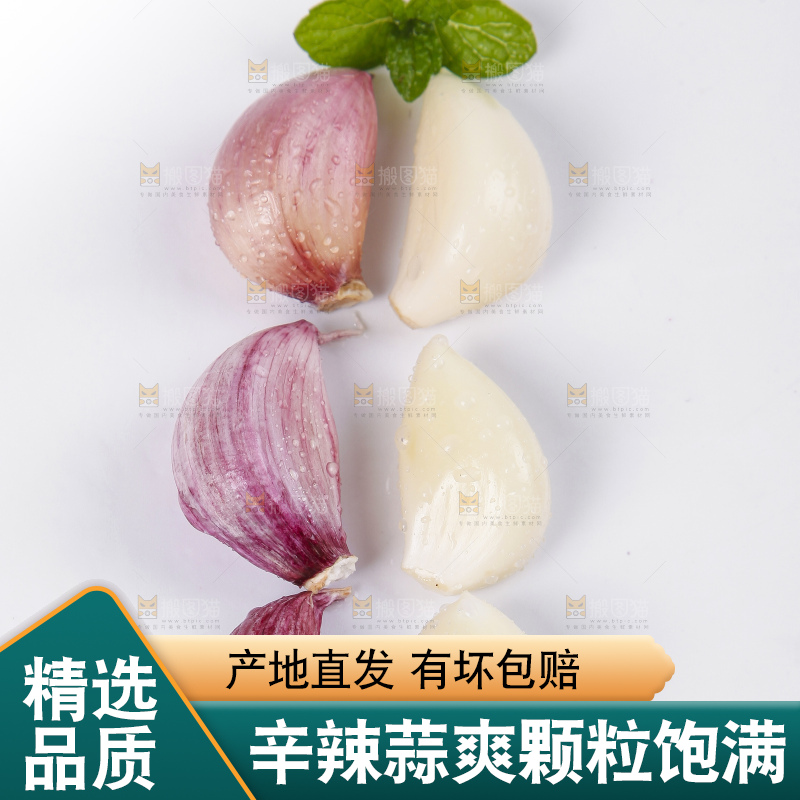 白底上摆放着紫皮蒜