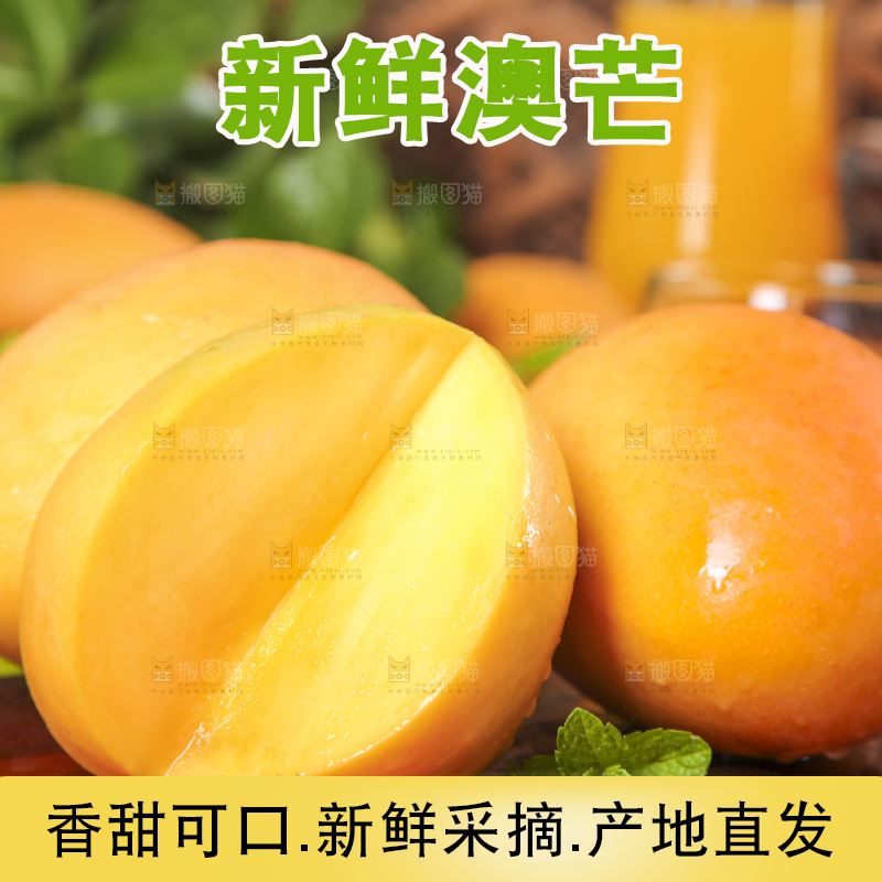 木底上摆放着进口澳芒