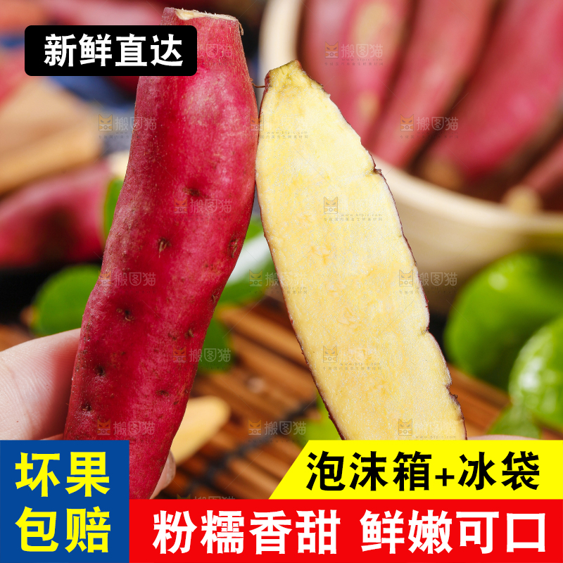 手里拿着沙地蜜薯 